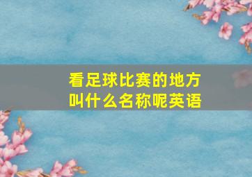 看足球比赛的地方叫什么名称呢英语