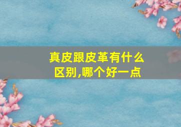 真皮跟皮革有什么区别,哪个好一点