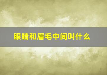 眼睛和眉毛中间叫什么