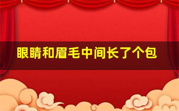 眼睛和眉毛中间长了个包