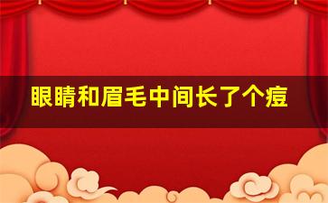 眼睛和眉毛中间长了个痘