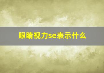 眼睛视力se表示什么