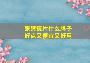 眼睛镜片什么牌子好点又便宜又好用