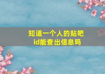 知道一个人的贴吧id能查出信息吗