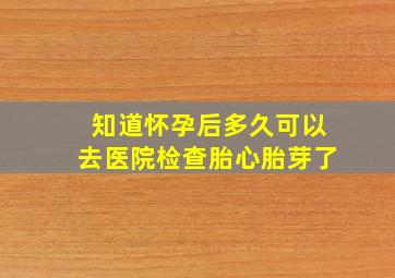 知道怀孕后多久可以去医院检查胎心胎芽了