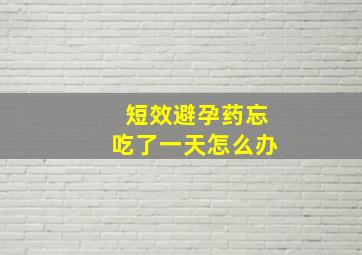 短效避孕药忘吃了一天怎么办