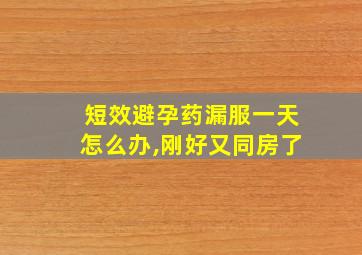 短效避孕药漏服一天怎么办,刚好又同房了