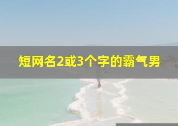 短网名2或3个字的霸气男