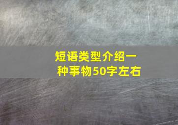 短语类型介绍一种事物50字左右