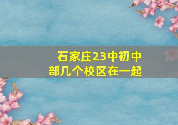 石家庄23中初中部几个校区在一起