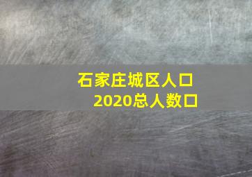 石家庄城区人口2020总人数口