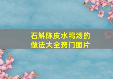 石斛陈皮水鸭汤的做法大全窍门图片