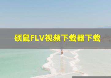 硕鼠FLV视频下载器下载