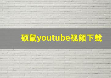 硕鼠youtube视频下载