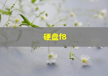 硬盘f8