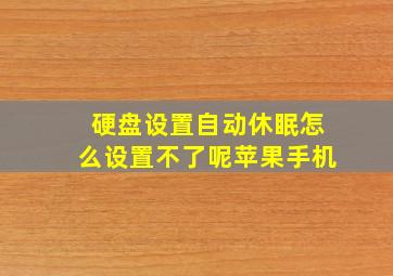 硬盘设置自动休眠怎么设置不了呢苹果手机