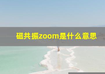 磁共振zoom是什么意思