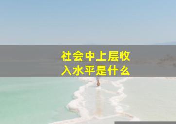 社会中上层收入水平是什么