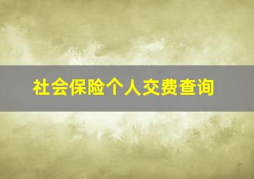 社会保险个人交费查询