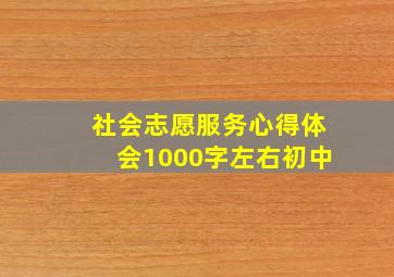 社会志愿服务心得体会1000字左右初中