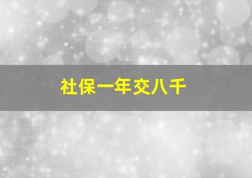 社保一年交八千