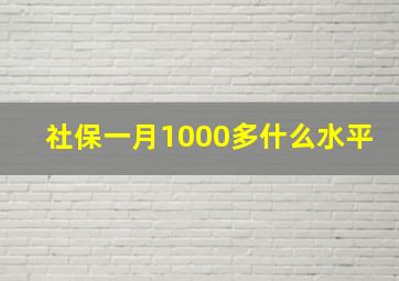 社保一月1000多什么水平