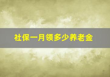 社保一月领多少养老金