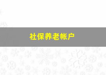 社保养老帐户