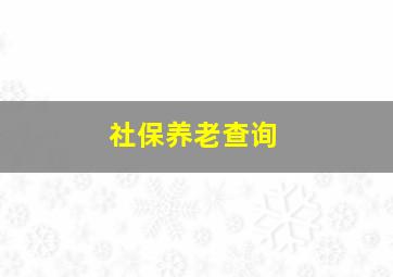 社保养老查询