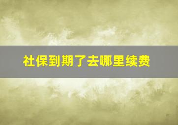 社保到期了去哪里续费