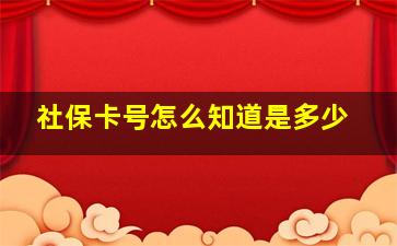 社保卡号怎么知道是多少