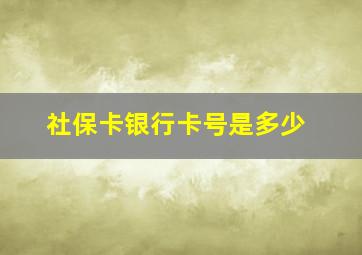 社保卡银行卡号是多少