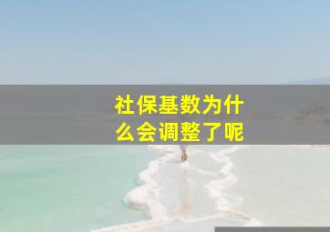 社保基数为什么会调整了呢