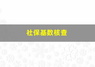 社保基数核查