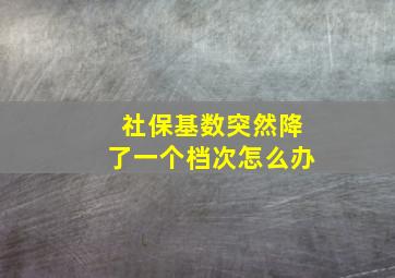 社保基数突然降了一个档次怎么办