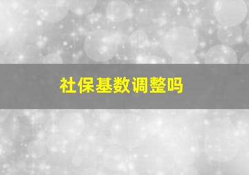 社保基数调整吗