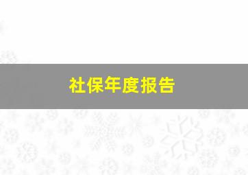 社保年度报告