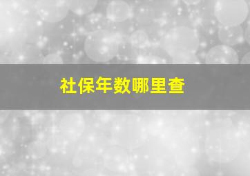 社保年数哪里查