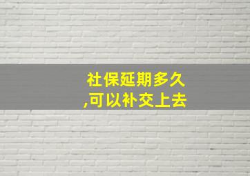 社保延期多久,可以补交上去