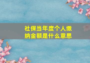 社保当年度个人缴纳金额是什么意思