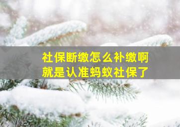 社保断缴怎么补缴啊就是认准蚂蚁社保了