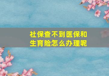 社保查不到医保和生育险怎么办理呢