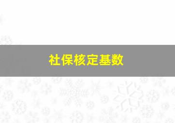 社保核定基数