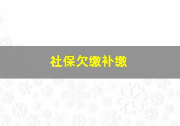 社保欠缴补缴