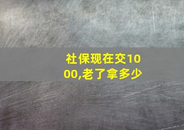 社保现在交1000,老了拿多少