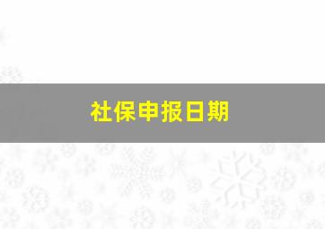 社保申报日期