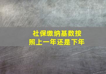 社保缴纳基数按照上一年还是下年