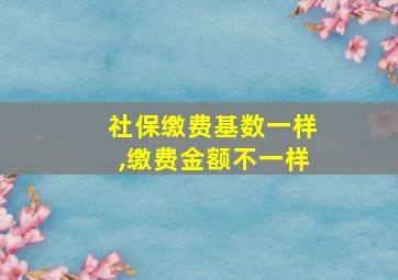 社保缴费基数一样,缴费金额不一样