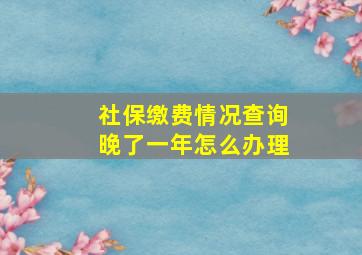 社保缴费情况查询晚了一年怎么办理