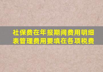 社保费在年报期间费用明细表管理费用要填在各项税费